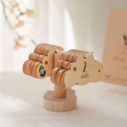 Pregnancy B- Ultrasound Photo Frame Newborn